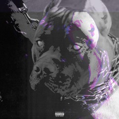 'pitbull terriër' FREESTYLE PT1 - [prod. @vuilnisbelt]