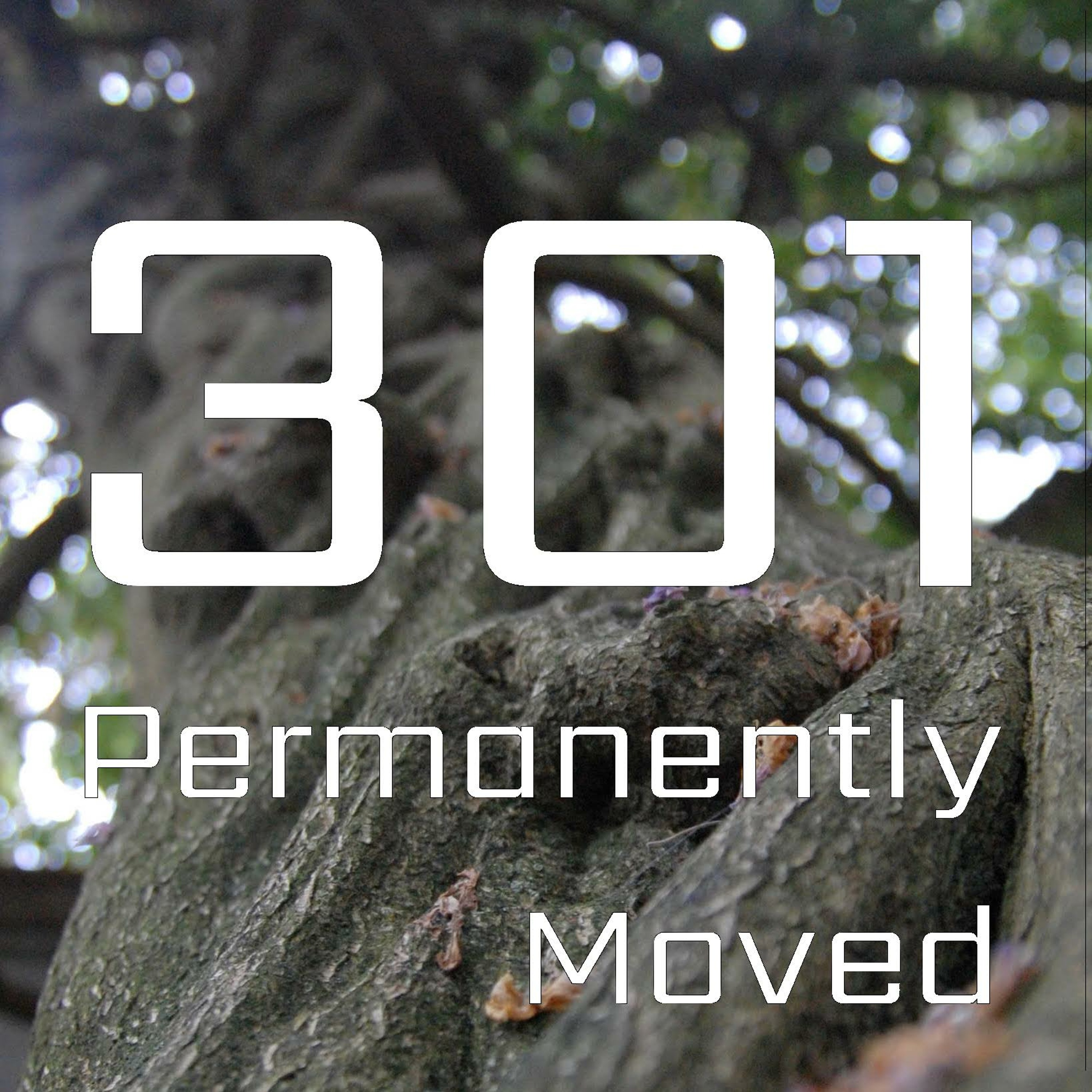 Permanently Moved
