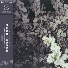 Shortwaved - So Long, Pt. 2