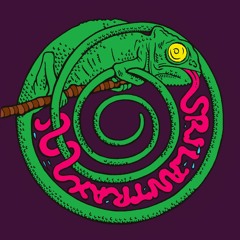 Hydrophonic 31/Raver Raver 01 - SriLantrax - Preview