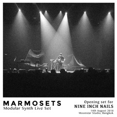 Marmosets Live - Opening set for NINE INCH NAILS