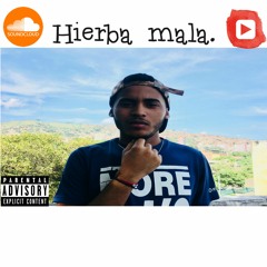 Hierba Mala - Neimi Legalize - Prod.By DadEires