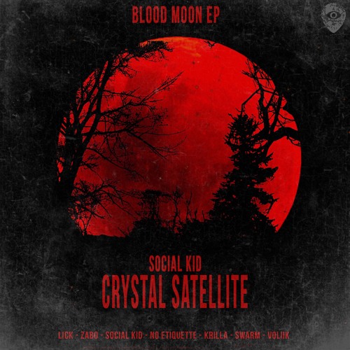 Social Kid - Crystal Satellite
