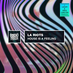 LA Riots - House Is A Feeling (Fritz Carlton's Up All Night Remix)