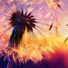 Life is Devastatingly Sweet