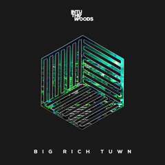 Intu The Woods - Big Rich Tuwn