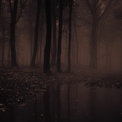 Whispers in Darknest Forest