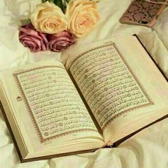 ايات بصوت رااائع للقارئ محمود القرشلي