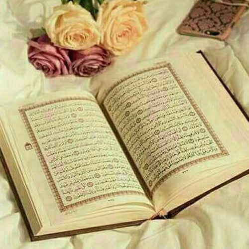 ايات بصوت رااائع للقارئ محمود القرشلي