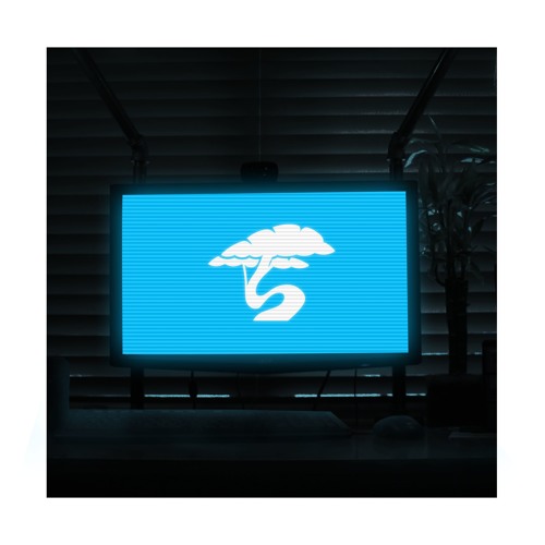 Capshun & Himmel - Shycap