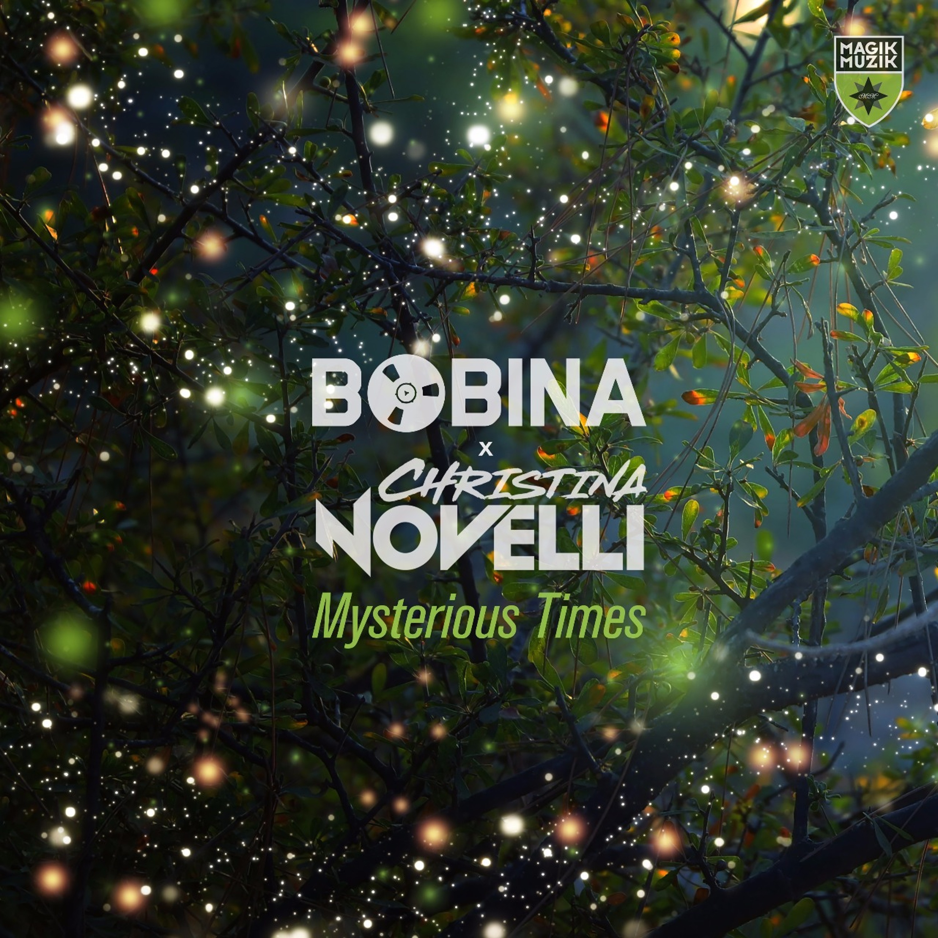 Bobina