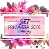 SET Primavera 2018 - DJ Braka DJ mix artwork - Electronic music tracklist cover image