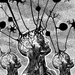 Mirror Neurons - Lucid Hallucinations