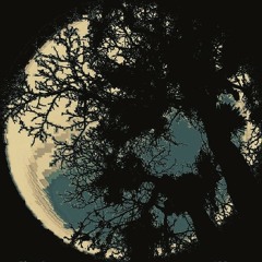 Universe