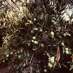 Klaviermeditationen Nr. 20 - Juni 2018