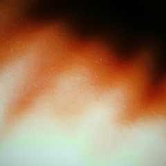 BUTTERFLY.