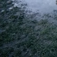 judnjsolidnasd;nolasdnklasd