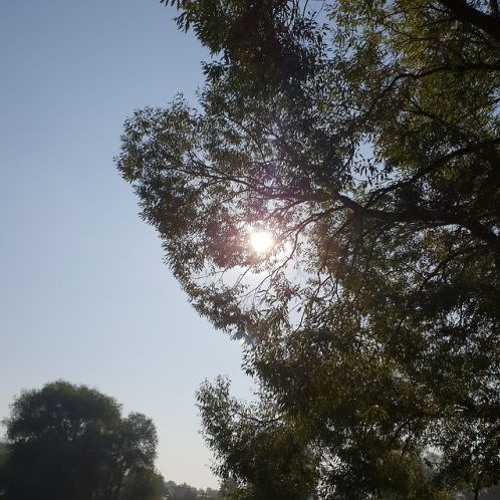 sun.