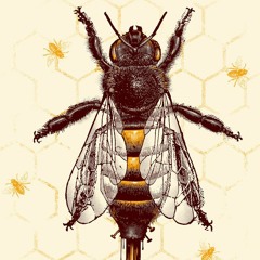 petite abeille ensanglantée (candyman )