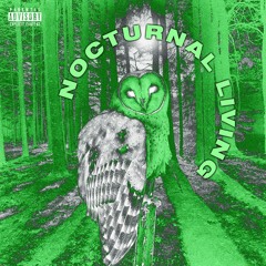 Nocturnal Living