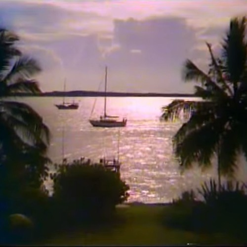 paradise