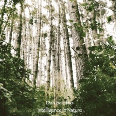 Intelligence In Nature - Full Album