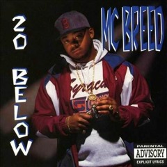 MC Breed - 20 Below (1992)