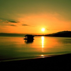 Lodi (Credence Clearwater Revival Cover)