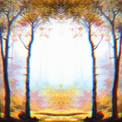Momentary