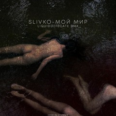 SLIVKO - МОЙ МИР (LIQUIDDEFECATE RMX)