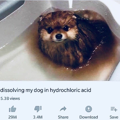 P!nk - Just Like Fire (From The Original Alice Through The Looking Glass) (Audacity Remix) (Loud)