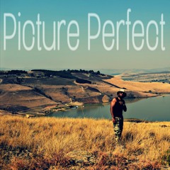 Picture Perfect