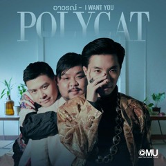 POLYCAT - อาวรณ์ I Want You