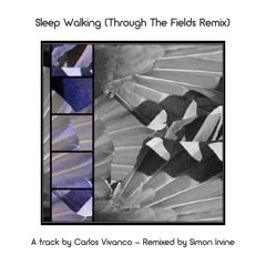Sleep Walking (Through The Fields Remix)
