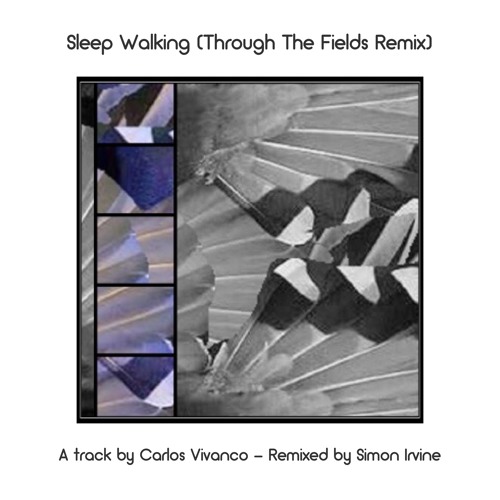 Sleep Walking (Through The Fields Remix)