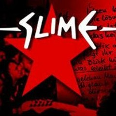 SLIME - Nazis Raus! (Parole Ponyhof's Acid Techno Remix)