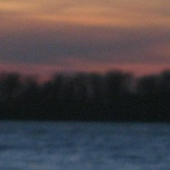 Shimmering Garden (Demo)