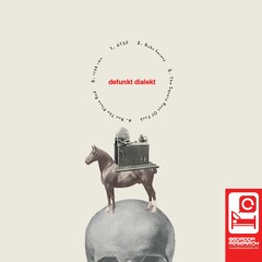 Defunkt Dialekt - 1138 Rmx 2009 Bedroom Research BR028