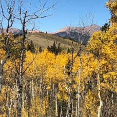 The Colors Of Fall