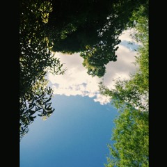 Heavenward - Wolf Alice (Cover)