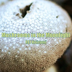 Mushrooms in the Moonlight