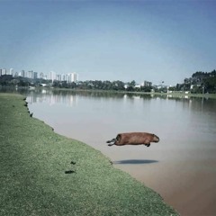 Deep Pupil (feat. PPC)