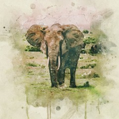 Ancestral Elephants - Mama Africa