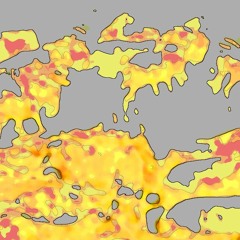 Stampede
