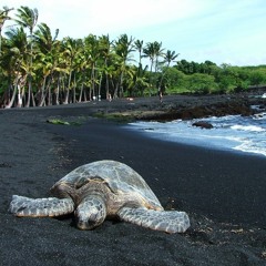 Retro Metro (Prod. BUCKNA$TY)