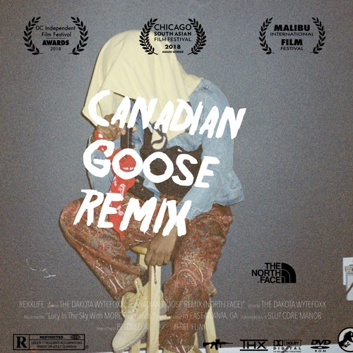 CANADIAN GOOSE REMIX (northface)