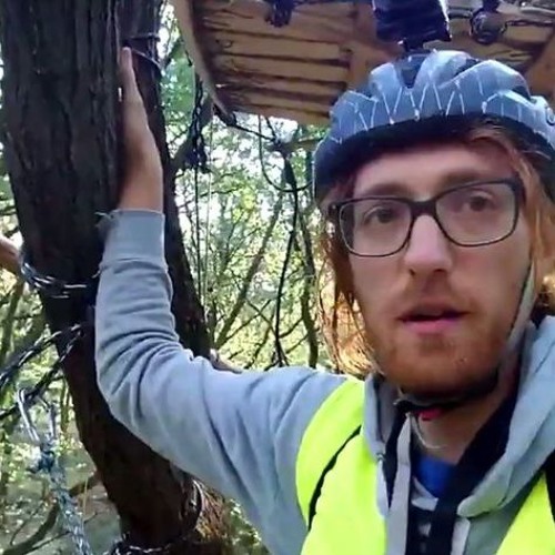 Death in Hambach Forest