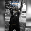French Montana Ft Drake No Stylist Remix By Skinnyflackoo Mp3