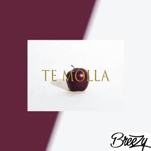 DJ BREEZY x TE MOLLA להורדה
