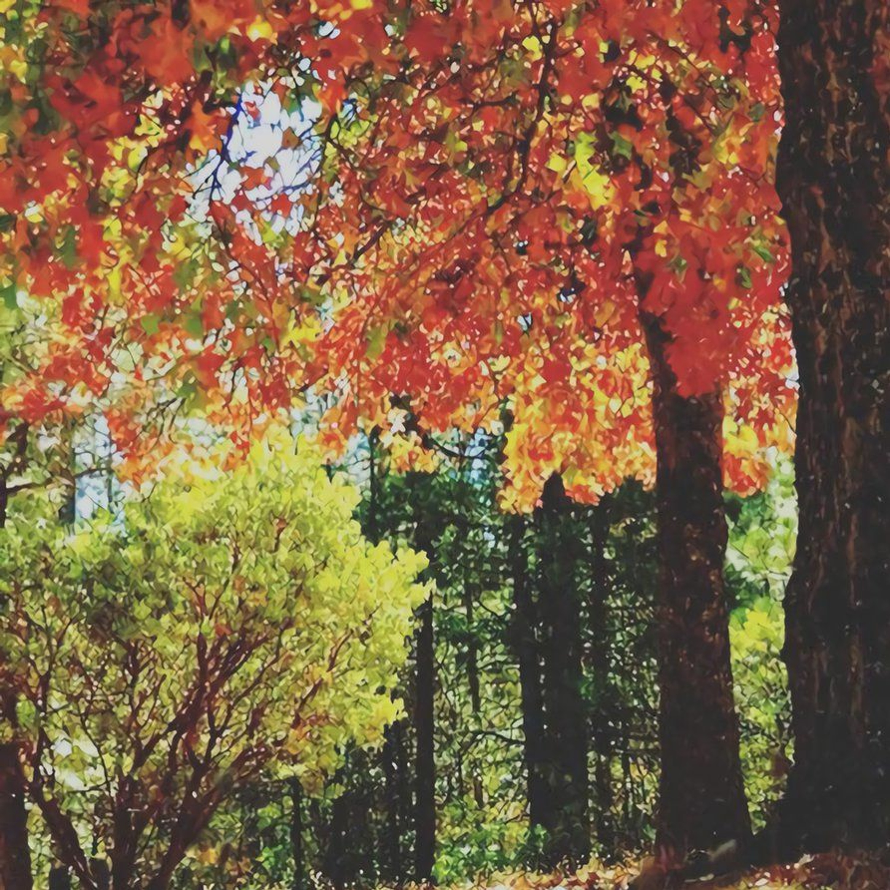 PARKWAY - AUTUMN episode artwork